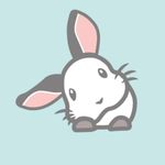 Teacup Nethies discount code